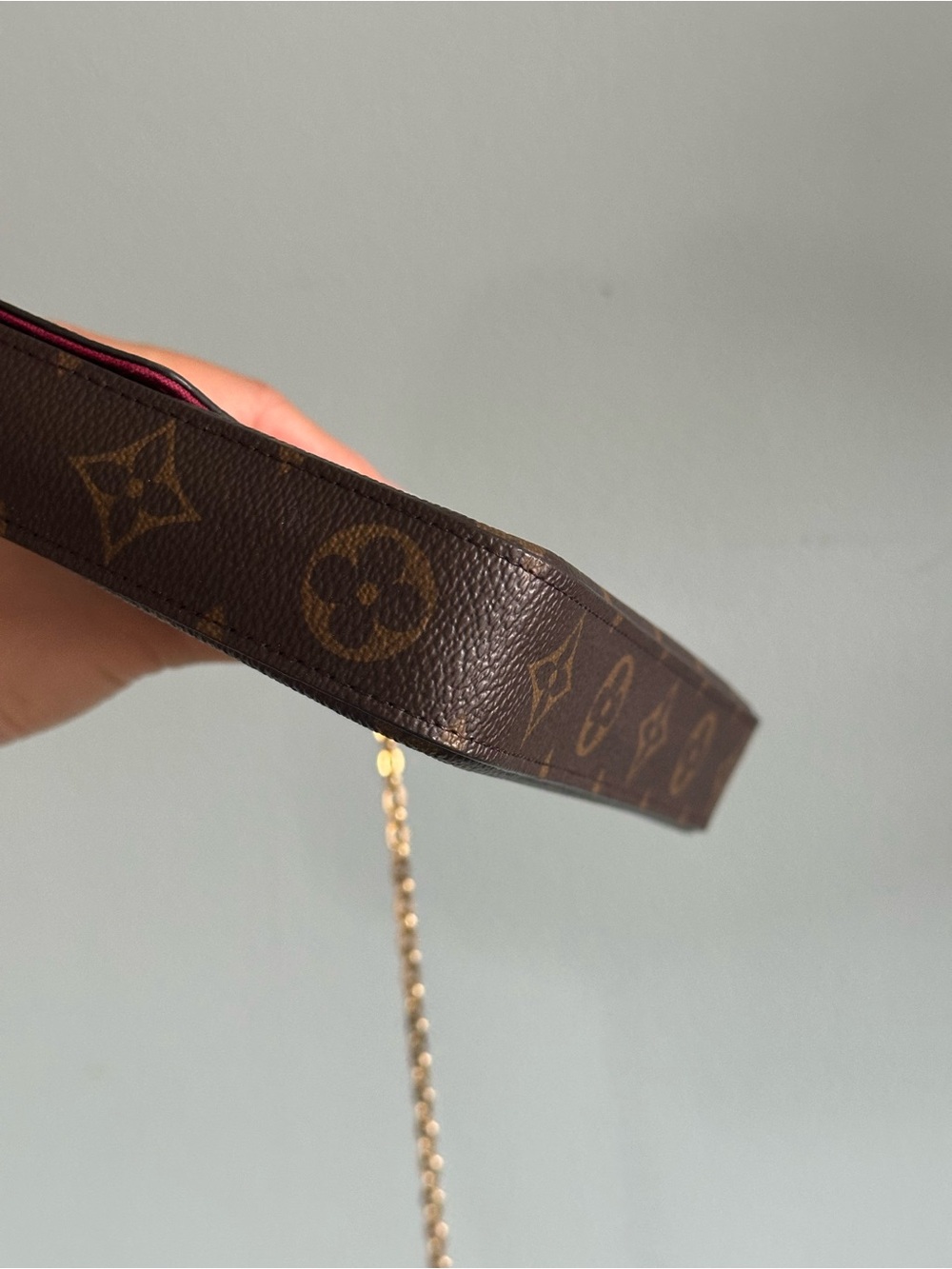 Louis Vuitton Monogram Pochette Félicie One Insert & dust bag - Picture 9 of 17